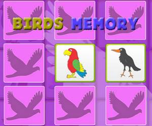 Kids Memory With Birds