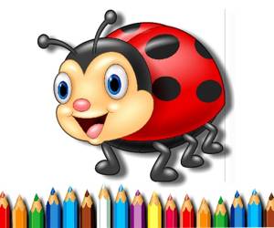 Ladybug Coloring Book